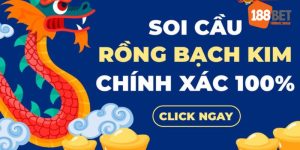 soi cầu rồng bạch kim